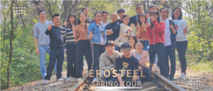 FEROSTEEL